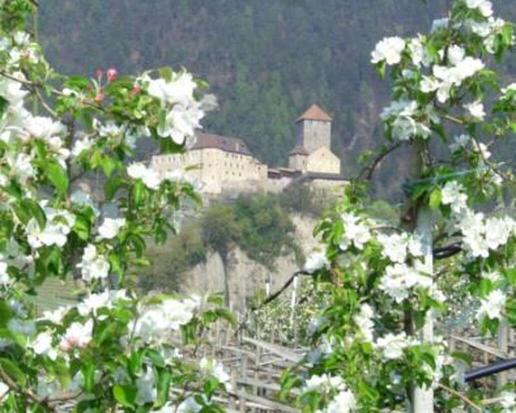 Landwirtschaft