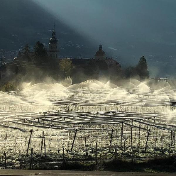 Landwirtschaft