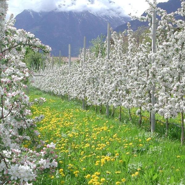 Landwirtschaft