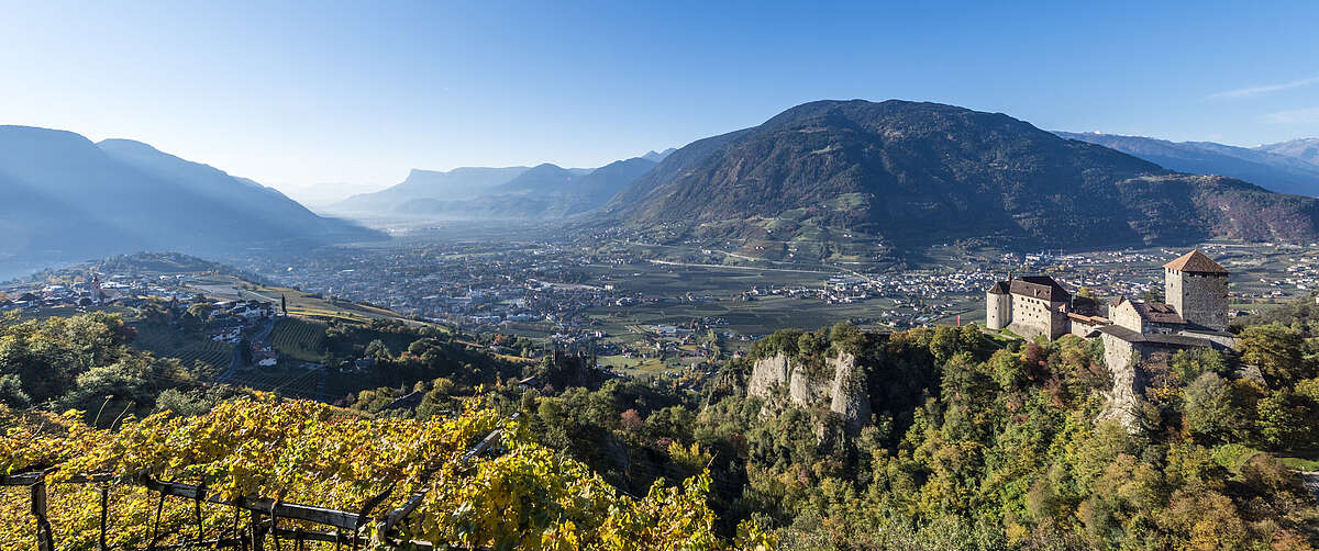 Wein, Apfel & Kultur